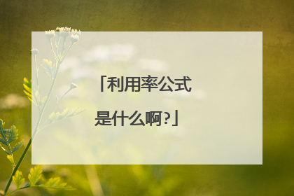 利用率公式是什么啊?