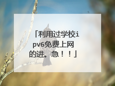 利用过学校ipv6免费上网的进。急!!