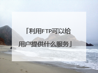 利用FTP可以给用户提供什么服务