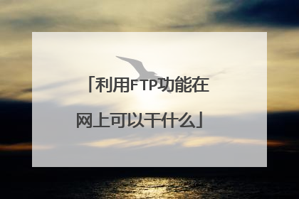 利用FTP功能在网上可以干什么