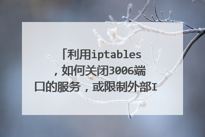 利用iptables ，如何关闭3006端口的服务，或限制外部IP访问3006端口，ssh命令是什么呢？