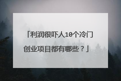 利润很吓人10个冷门创业项目都有哪些?