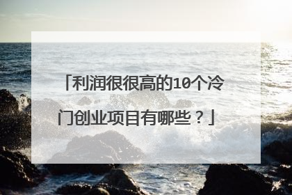 利润很很高的10个冷门创业项目有哪些？