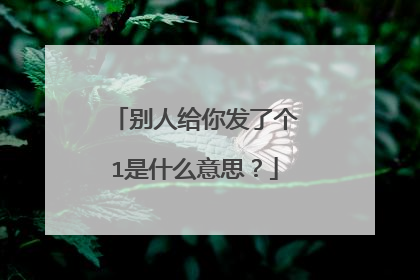 别人给你发了个1是什么意思？