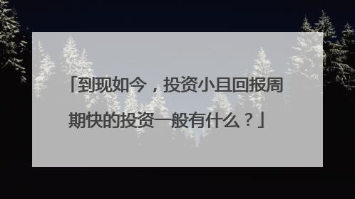 到现如今,投资小且回报周期快的投资一般有什么?