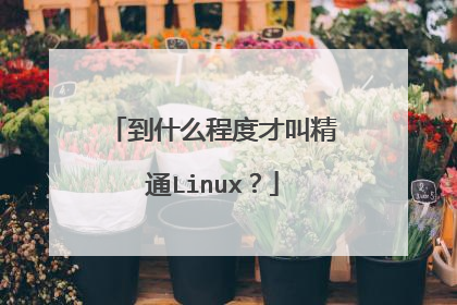 到什么程度才叫精通Linux?