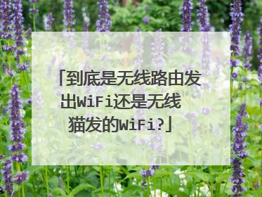 到底是无线路由发出WiFi还是无线猫发的WiFi?