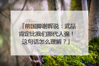 前国脚谢晖说：武磊肯定比我们那代人强！这句话怎么理解？