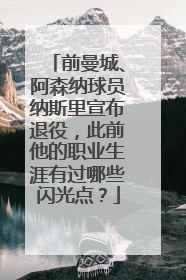 前曼城、阿森纳球员纳斯里宣布退役，此前他的职业生涯有过哪些闪光点？