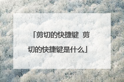 剪切的快捷键 剪切的快捷键是什么