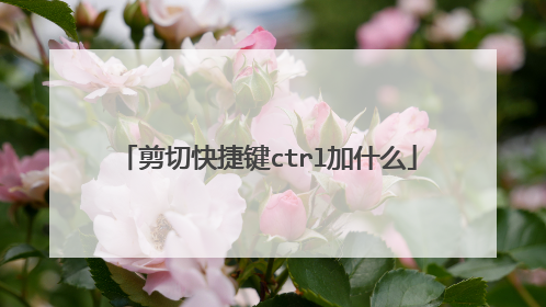 剪切快捷键ctrl加什么