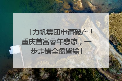 力帆集团申请破产！重庆首富暮年悲凉，一步走错全盘皆输