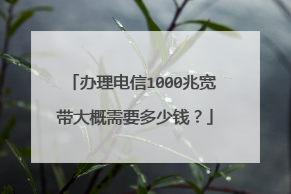 办理电信1000兆宽带大概需要多少钱？