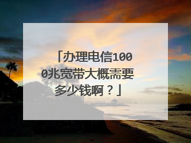 办理电信1000兆宽带大概需要多少钱啊?