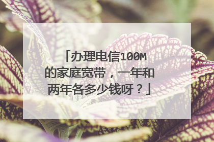 办理电信100M的家庭宽带,一年和两年各多少钱呀?