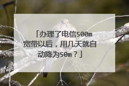办理了电信500m宽带以后,用几天就自动降为50m?