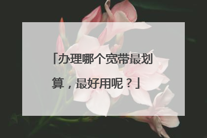 办理哪个宽带最划算,最好用呢?