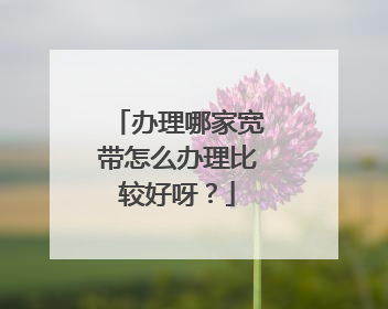 办理哪家宽带怎么办理比较好呀?