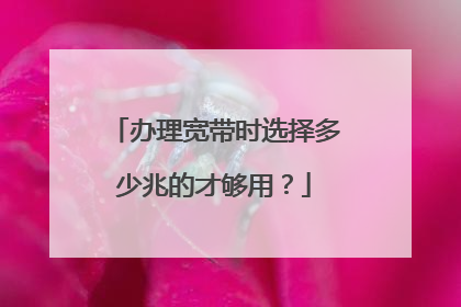 办理宽带时选择多少兆的才够用？