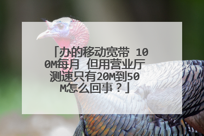 办的移动宽带 100M每月 但用营业厅测速只有20M到50M怎么回事？