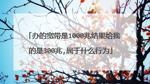 办的宽带是1000兆结果给我的是300兆,属于什么行为
