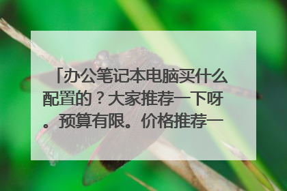 办公笔记本电脑买什么配置的？大家推荐一下呀。预算有限。价格推荐一下价格低的谢谢