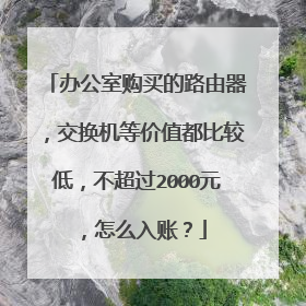 办公室购买的路由器，交换机等价值都比较低，不超过2000元，怎么入账？