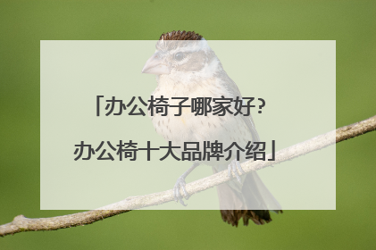 办公椅子哪家好? 办公椅十大品牌介绍