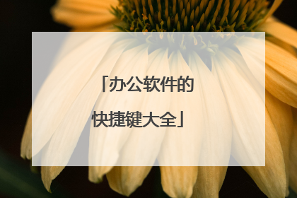 办公软件的快捷键大全