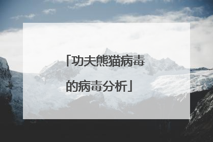 功夫熊猫病毒的病毒分析