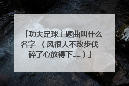 功夫足球主题曲叫什么名字 （风很大不改步伐碎了心放得下……）