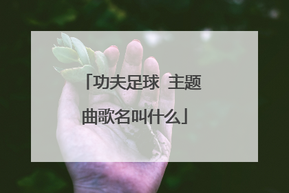 功夫足球 主题曲歌名叫什么