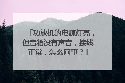 功放机的电源灯亮,但音箱没有声音,接线正常,怎么回事?