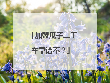 加盟瓜子二手车靠谱不?