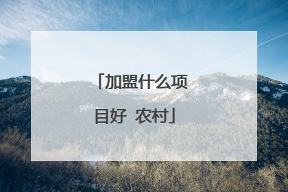 加盟什么项目好 农村