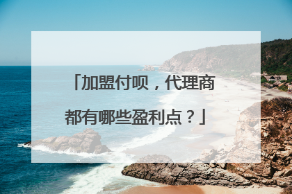 加盟付呗，代理商都有哪些盈利点？