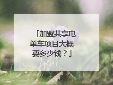 加盟共享电单车项目大概要多少钱?