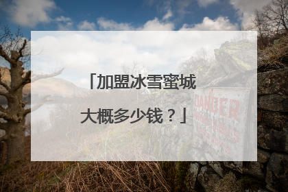 加盟冰雪蜜城大概多少钱？