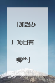 加盟办厂项目有哪些