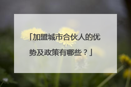 加盟城市合伙人的优势及政策有哪些?