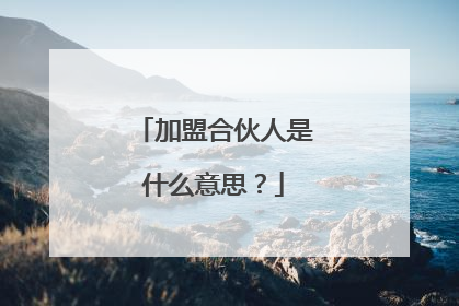 加盟合伙人是什么意思?