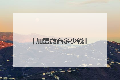加盟微商多少钱