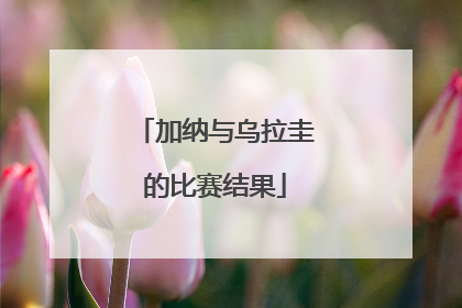 加纳与乌拉圭的比赛结果