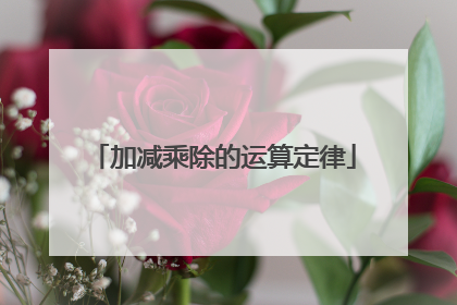 加减乘除的运算定律