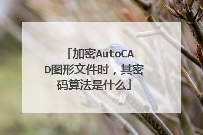 加密AutoCAD图形文件时,其密码算法是什么