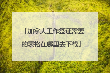 加拿大工作签证需要的表格在哪里去下载