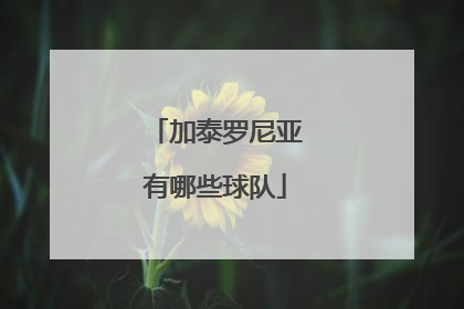 加泰罗尼亚有哪些球队