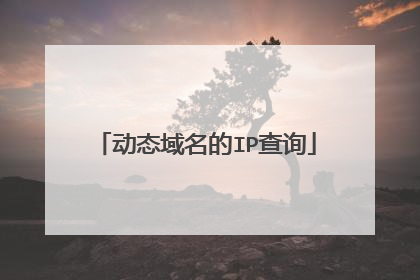 动态域名的IP查询