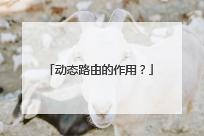 动态路由的作用?