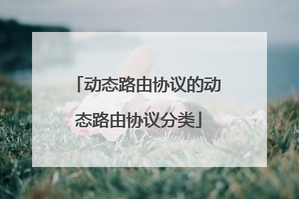 动态路由协议的动态路由协议分类